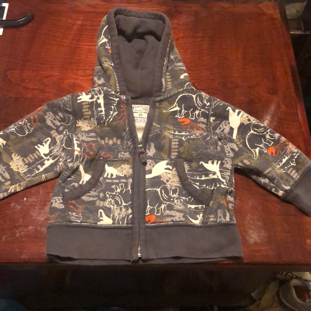 The Children’s Place zip up jacket with hood
